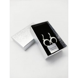 Earrings bathed in 925 sterling silver mix