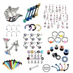 Piercings and dilatations Assorted lot
