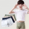 Underwear Batches for Children