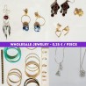 Wholesale Costume Jewellery Lot