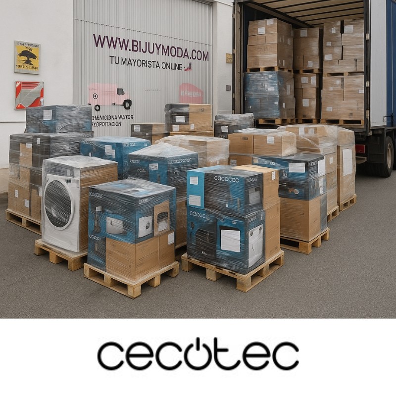 Cecotec Pallets Truckload – Export Stock for Wholesale Buyers
