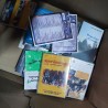 Palet de Libros al por Mayor – Lote Surtido