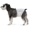 Amazon Basics Lot de 50 Couches jetables pour Chien mâle